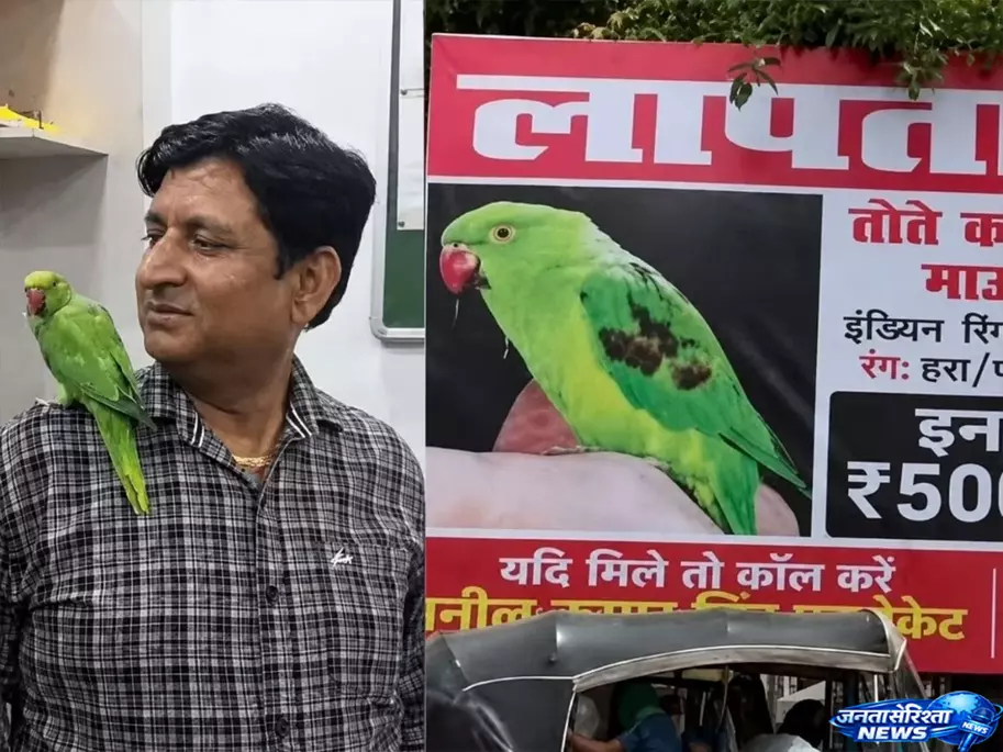 Agra में तोते की तलाश खत्म, 6 दिन बाद मिला प्यारा माऊ Agra में तोते की तलाश खत्म, 6 दिन बाद मिला प्यारा माऊ