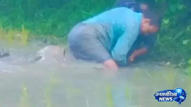 पिता के सहयोग से भाई पर हमला, रील बनाने वालों ने नहीं बचाया पिता के सहयोग से भाई पर हमला, रील बनाने वालों ने नहीं बचाया