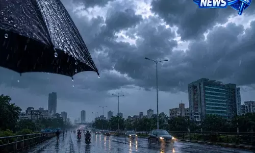 मानसून ने पकड़ी रफ्तार, झारखंड के 13 जिलों में भारी बारिश को लेकर IMD का अलर्ट मानसून ने पकड़ी रफ्तार, झारखंड के 13 जिलों में भारी बारिश को लेकर IMD का अलर्ट