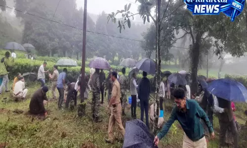 वन संरक्षण की दिशा में कदम, कर्सियांग वन प्रभाग ने अरण्य सप्ताह में आयोजित किए कार्यक्रम वन संरक्षण की दिशा में कदम, कर्सियांग वन प्रभाग ने अरण्य सप्ताह में आयोजित किए कार्यक्रम
