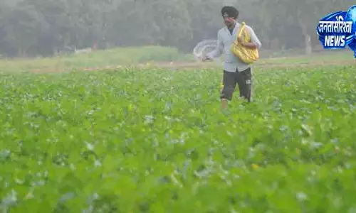 Ludhiana किसानों को यूरिया उपयोग में बरतनी होगी सावधानी Ludhiana किसानों को यूरिया उपयोग में बरतनी होगी सावधानी