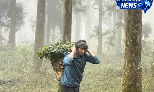 सिक्किम के गांवों ने बदली जिंदगी, यूरोप के शोधकर्ता की अनोखी यात्रा बनी प्रेरणा सिक्किम के गांवों ने बदली जिंदगी, यूरोप के शोधकर्ता की अनोखी यात्रा बनी प्रेरणा