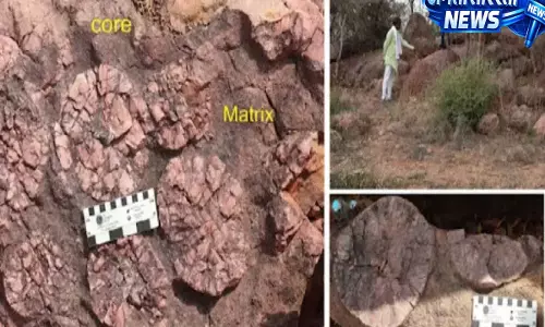 मध्य प्रदेश में मिली 2.5 अरब साल पुरानी टाइम कैप्सूल चट्टान, वैज्ञानिकों की बड़ी खोज मध्य प्रदेश में मिली 2.5 अरब साल पुरानी टाइम कैप्सूल चट्टान, वैज्ञानिकों की बड़ी खोज