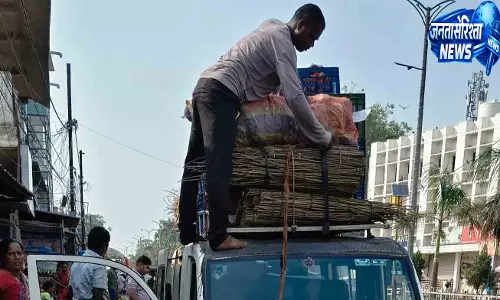 Kendujhar चबाने की छड़ियों का कारोबार, साल वन पर खतरा Kendujhar चबाने की छड़ियों का कारोबार, साल वन पर खतरा