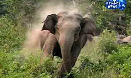 Kendujhar जंबो हमले में एक व्यक्ति की मौत Kendujhar जंबो हमले में एक व्यक्ति की मौत
