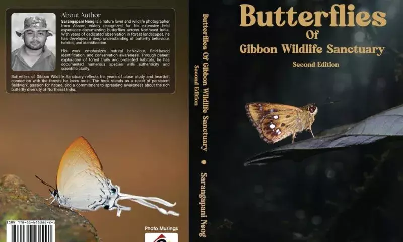 गिब्बन सैंक्चुअरी में बड़ा खुलासा: 12 साल के सर्वे में रिकॉर्ड हुईं 281 तितली प्रजातियां गिब्बन सैंक्चुअरी में बड़ा खुलासा: 12 साल के सर्वे में रिकॉर्ड हुईं 281 तितली प्रजातियां