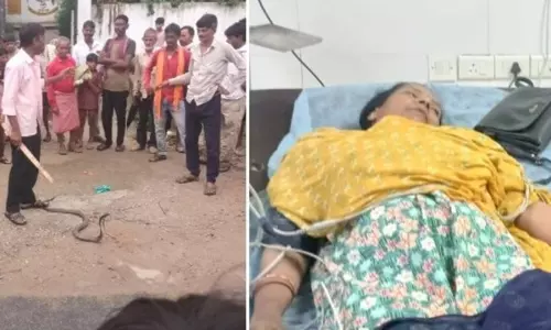 Children के सामने कोबरा का हमला, प्रधानाध्यापिका की हालत नाजुक Children के सामने कोबरा का हमला, प्रधानाध्यापिका की हालत नाजुक