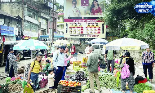 सोलन में अदरक 80 रुपए किलो बिका सोलन में अदरक 80 रुपए किलो बिका