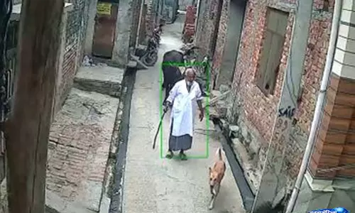 बुजुर्ग पर सांड़ का अचानक हमला, जोरदार टक्कर से सड़क पर गिरे; बुजुर्ग पर सांड़ का अचानक हमला, जोरदार टक्कर से सड़क पर गिरे;