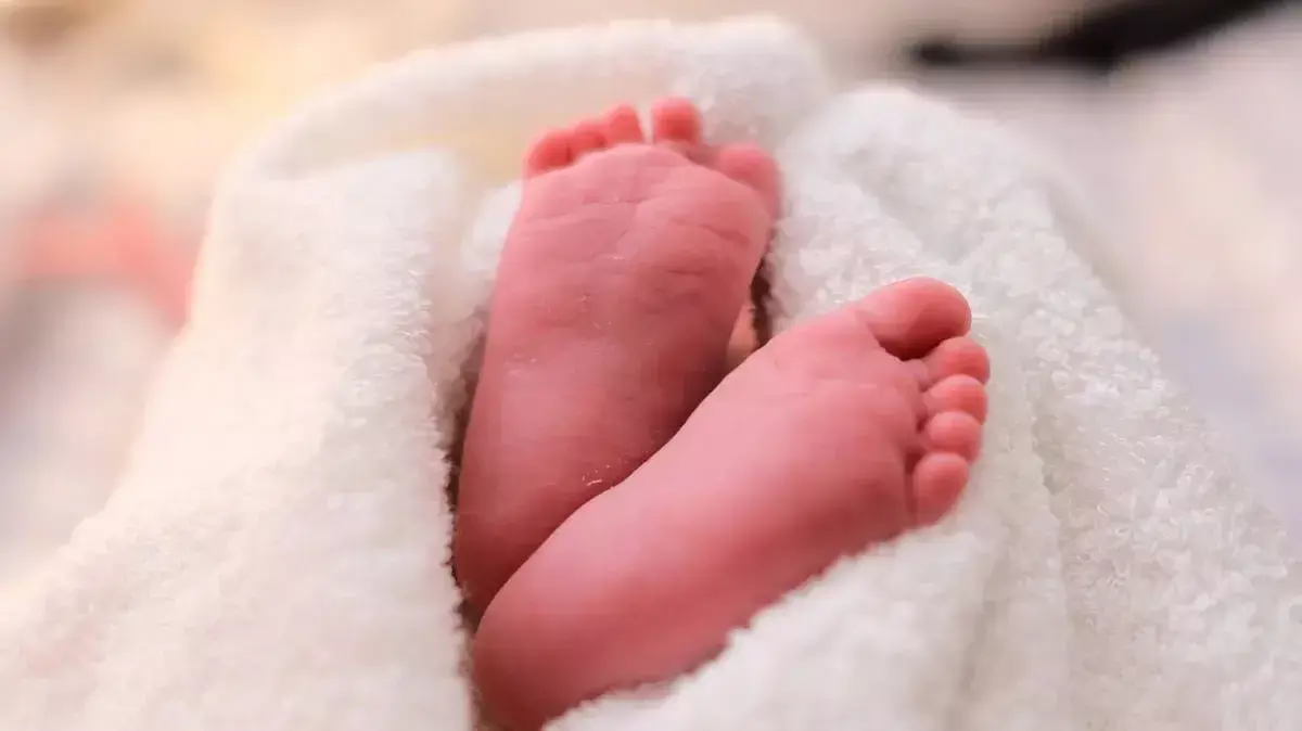 पलक्कड़ में 56 दिन के बच्चे की मां का दूध गले में अटकने से मौत हो गई पलक्कड़ में 56 दिन के बच्चे की मां का दूध गले में अटकने से मौत हो गई
