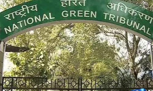 NGT का आदेश, हफ्तेभर में यमुना फ्लडप्लेन विवाद सुलझाएं NGT का आदेश, हफ्तेभर में यमुना फ्लडप्लेन विवाद सुलझाएं