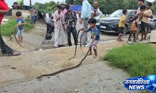 5 साल का बच्चा सांपों के बीच खेलता दिखा, वीडियो वायरल 5 साल का बच्चा सांपों के बीच खेलता दिखा, वीडियो वायरल