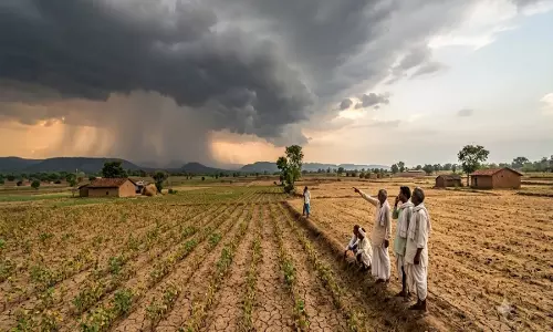 Monsoon कमजोर पड़ने से एमपी परेशान, 16% कम बारिश दर्ज; अब जुलाई के अंत से उम्मीद Monsoon कमजोर पड़ने से एमपी परेशान, 16% कम बारिश दर्ज; अब जुलाई के अंत से उम्मीद