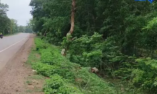 मानसिक रूप से विक्षिप्त युवती से गैंगरेप की आशंका, अर्धनग्न हालत में मिली पीड़िता मानसिक रूप से विक्षिप्त युवती से गैंगरेप की आशंका, अर्धनग्न हालत में मिली पीड़िता