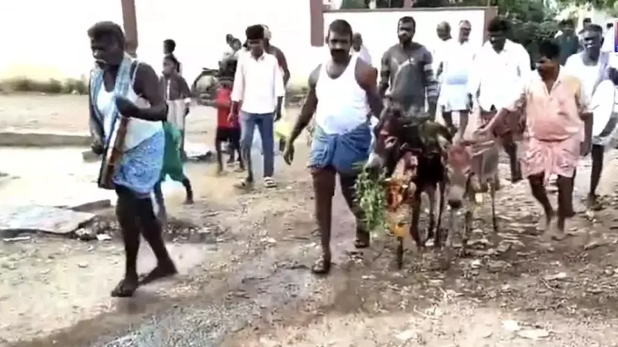 Andhra: सीमा ने बारिश के लिए प्रार्थना की, गधों और मेंढकों की शादी कराई गई Andhra: सीमा ने बारिश के लिए प्रार्थना की, गधों और मेंढकों की शादी कराई गई