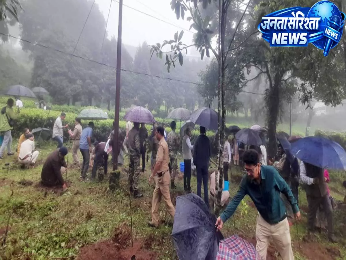 वन संरक्षण की दिशा में कदम, कर्सियांग वन प्रभाग ने अरण्य सप्ताह में आयोजित किए कार्यक्रम वन संरक्षण की दिशा में कदम, कर्सियांग वन प्रभाग ने अरण्य सप्ताह में आयोजित किए कार्यक्रम