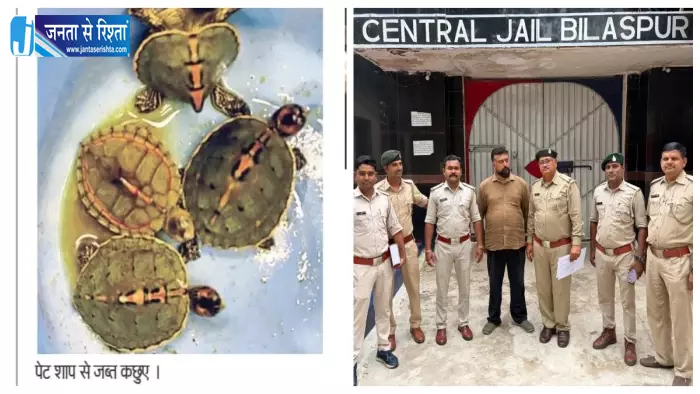 पेट पाइंट शाप में वन विभाग का छापा, 4 कछुए जब्त पेट पाइंट शाप में वन विभाग का छापा, 4 कछुए जब्त
