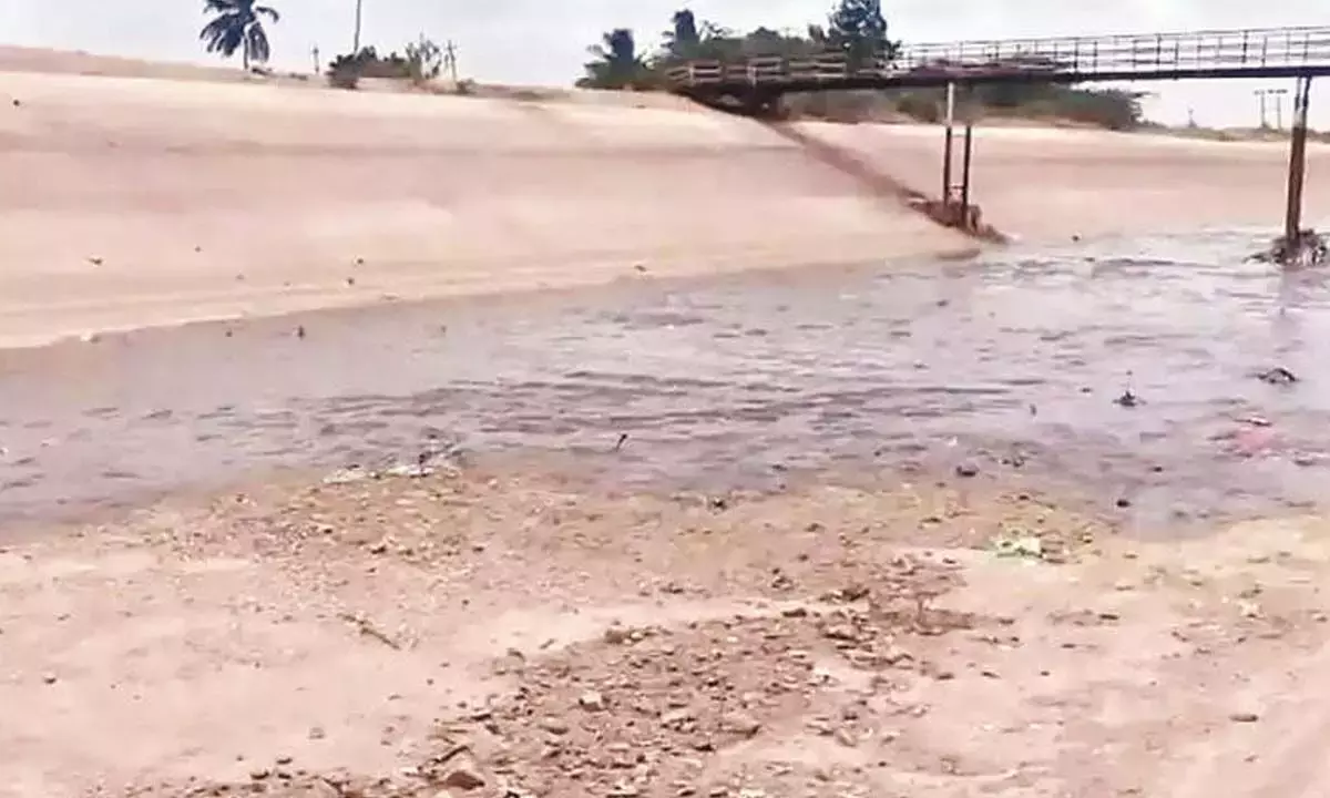 Andhra: तुंगभद्रा का पानी एलएलसी पर 60 किमी का आंकड़ा पार कर गया Andhra: तुंगभद्रा का पानी एलएलसी पर 60 किमी का आंकड़ा पार कर गया