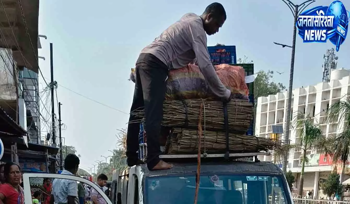 Kendujhar चबाने की छड़ियों का कारोबार, साल वन पर खतरा Kendujhar चबाने की छड़ियों का कारोबार, साल वन पर खतरा