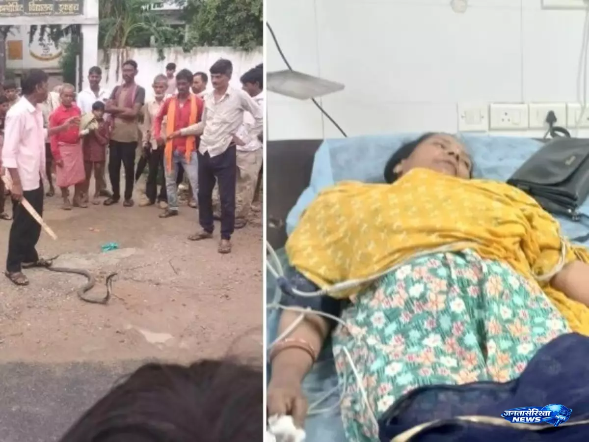 Children के सामने कोबरा का हमला, प्रधानाध्यापिका की हालत नाजुक Children के सामने कोबरा का हमला, प्रधानाध्यापिका की हालत नाजुक