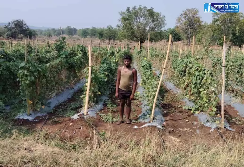 ड्रिप सिंचाई और आधुनिक खेती से किसान की जीवन में खुशहाली ड्रिप सिंचाई और आधुनिक खेती से किसान की जीवन में खुशहाली