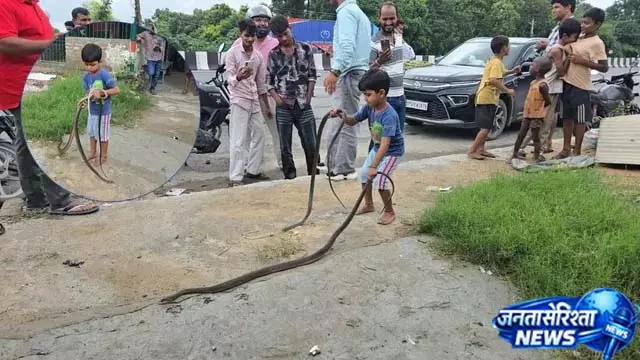 5 साल का बच्चा सांपों के बीच खेलता दिखा, वीडियो वायरल 5 साल का बच्चा सांपों के बीच खेलता दिखा, वीडियो वायरल
