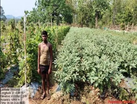 आधुनिक कृषि का कमाल: ड्रिप सिंचाई अपनाकर वासुदेव ने बदली अपनी तकदीर आधुनिक कृषि का कमाल: ड्रिप सिंचाई अपनाकर वासुदेव ने बदली अपनी तकदीर