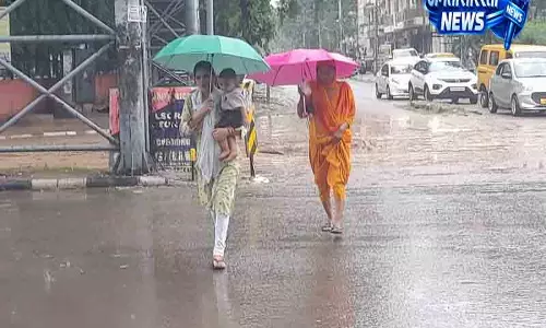 अगले 5 दिन Punjab and Haryana में होगी बारिश अगले 5 दिन Punjab and Haryana में होगी बारिश
