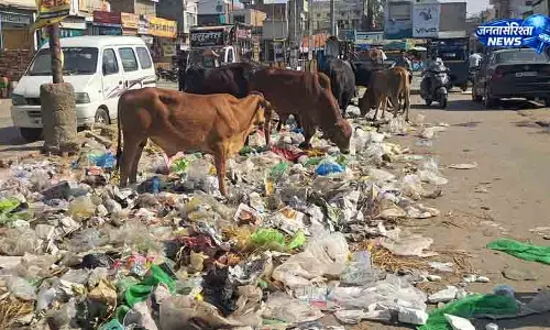 HC की फटकार के बाद Punjab सरकार सख्त HC की फटकार के बाद Punjab सरकार सख्त