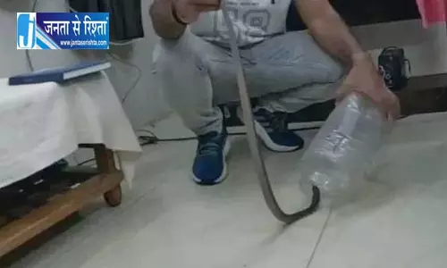 डॉक्टर बाल-बाल बचे सांप के काटने से, सरकारी हॉस्पिटल में हड़कंप