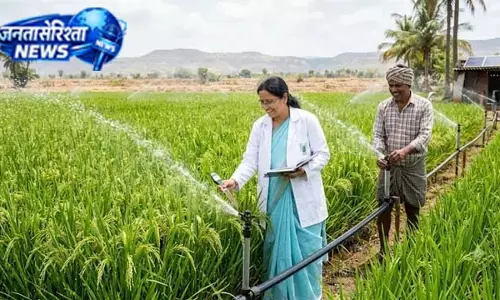 बारिश कम तो चिंता नहीं, स्प्रिंकलर से बढ़ेगी धान की पैदावार बारिश कम तो चिंता नहीं, स्प्रिंकलर से बढ़ेगी धान की पैदावार