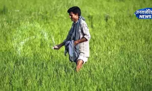 Odisha में खाद की कोई कमी नहीं: मंत्री Odisha में खाद की कोई कमी नहीं: मंत्री