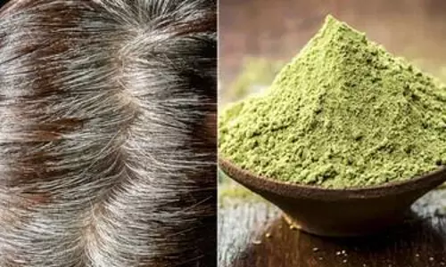 हर्बल पाउडर का बढ़ता ट्रेंड: जानिए इसके फायदे, उपयोग और लोकप्रिय होने की वजह हर्बल पाउडर का बढ़ता ट्रेंड: जानिए इसके फायदे, उपयोग और लोकप्रिय होने की वजह