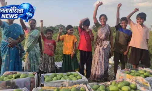 महिला किसानों की मेहनत से आम को मिली ग्लोबल उड़ान महिला किसानों की मेहनत से आम को मिली ग्लोबल उड़ान