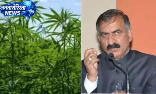 लाइसेंस लेकर ही कर सकेंगे भांग की खेती, सरकार ने बनाए नियम लाइसेंस लेकर ही कर सकेंगे भांग की खेती, सरकार ने बनाए नियम