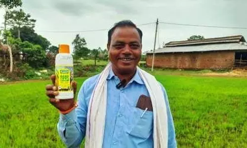 सिंगरौली के किसान ने उठाई आधुनिक राह, इस बार खरीफ में करेंगे नैनो डीएपी का छिड़काव सिंगरौली के किसान ने उठाई आधुनिक राह, इस बार खरीफ में करेंगे नैनो डीएपी का छिड़काव