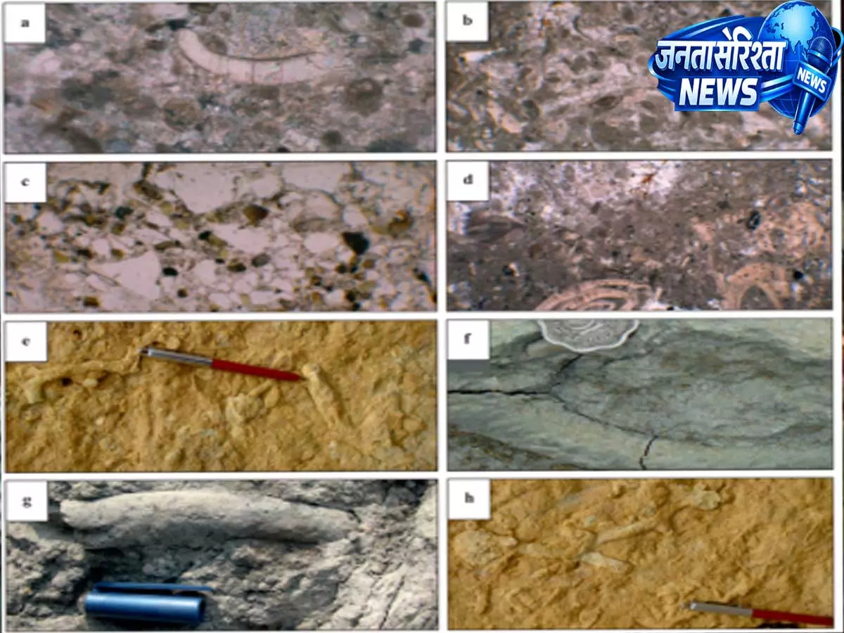 असम के भूगर्भीय इतिहास से उठा पर्दा, स्टडी में मिला प्राचीन समुद्र का प्रमाण असम के भूगर्भीय इतिहास से उठा पर्दा, स्टडी में मिला प्राचीन समुद्र का प्रमाण