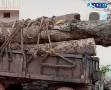 इमारती लकड़ी की तस्करी नाकाम, कोरबा में वन विभाग की कार्रवाई इमारती लकड़ी की तस्करी नाकाम, कोरबा में वन विभाग की कार्रवाई