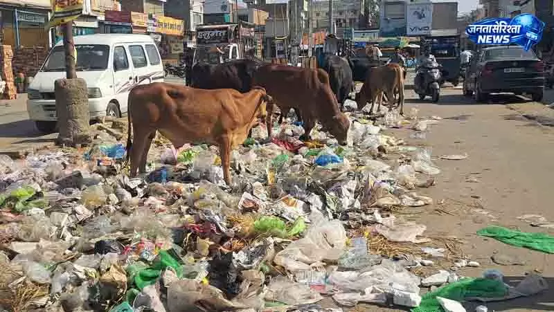 HC की फटकार के बाद Punjab सरकार सख्त HC की फटकार के बाद Punjab सरकार सख्त
