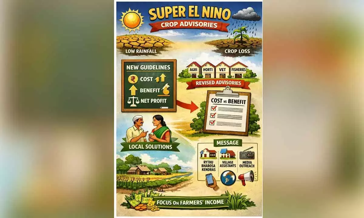 Andhra: आंध्र प्रदेश ने लागत-आधारित फसल सलाह प्रणाली अपना ली है Andhra: आंध्र प्रदेश ने लागत-आधारित फसल सलाह प्रणाली अपना ली है