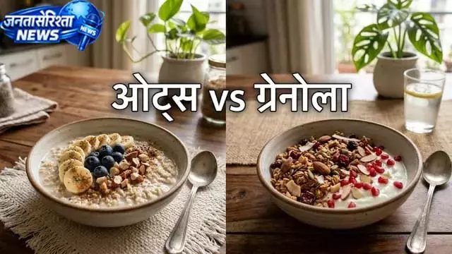 वेट लॉस डाइट में ओट्स क्यों हो सकते हैं फायदेमंद? वेट लॉस डाइट में ओट्स क्यों हो सकते हैं फायदेमंद?