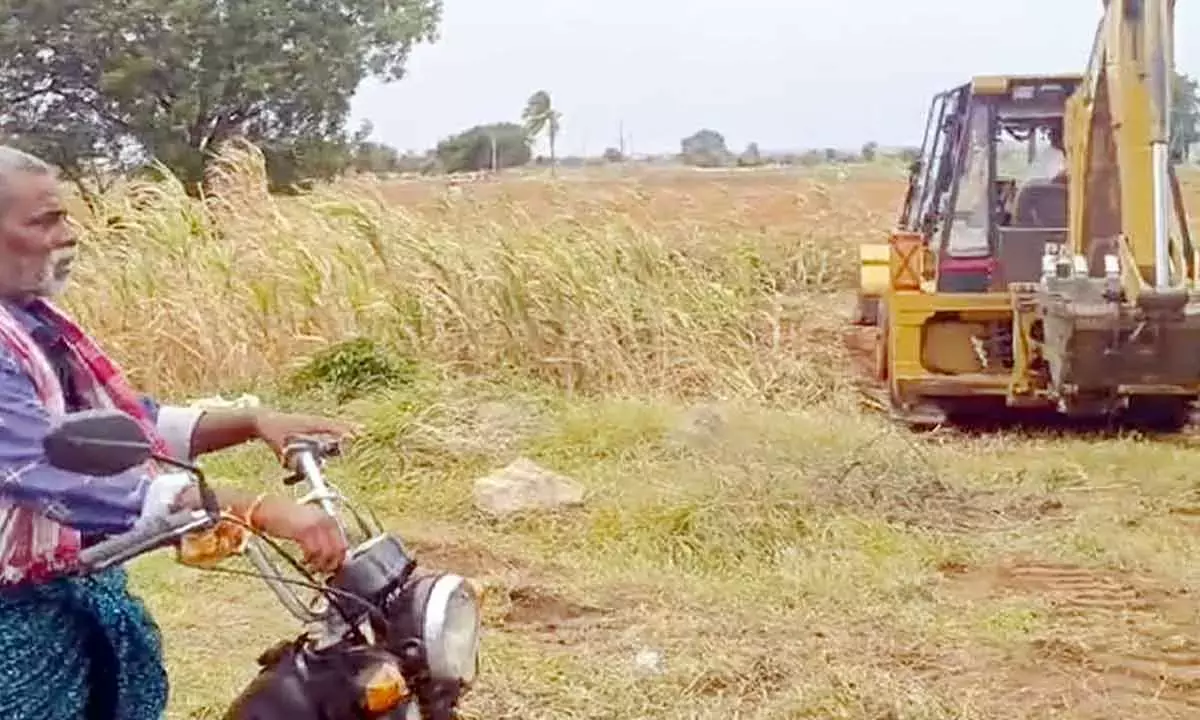 Andhra: किसान की नष्ट हुई फसल का मुआवजा मांगा Andhra: किसान की नष्ट हुई फसल का मुआवजा मांगा