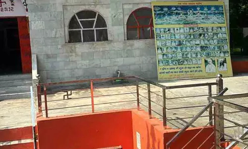 Punjab का अनोखा जंगल, दूर-दूर से आते पर्यटक Punjab का अनोखा जंगल, दूर-दूर से आते पर्यटक