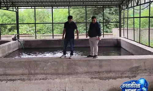 नालागढ़ में जनवरी तक बनेगा मछली पालन केंद्र