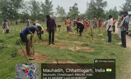 जशपुर जिले में 2 लाख 72 हजार साजा-अर्जुना पौधों का पौधरोपण शुरू