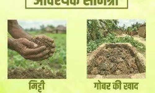 सीड बॉल अभियान : हरियाली बढ़ाने का सरल और प्रभावी माध्यम सीड बॉल अभियान : हरियाली बढ़ाने का सरल और प्रभावी माध्यम