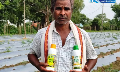 धान के साथ सब्जी उत्पादन और आधुनिक तकनीक से बढ़ी किसान ग्रीक चंद पटेल की आय धान के साथ सब्जी उत्पादन और आधुनिक तकनीक से बढ़ी किसान ग्रीक चंद पटेल की आय