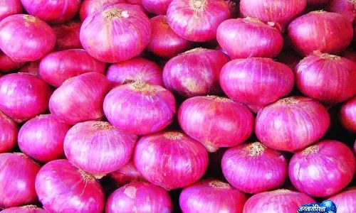 प्याज पर मचेगा रार: दाम कम करने पर राज्यव्यापी विरोध प्रदर्शन की चेतावनी, किसान हुए उग्र