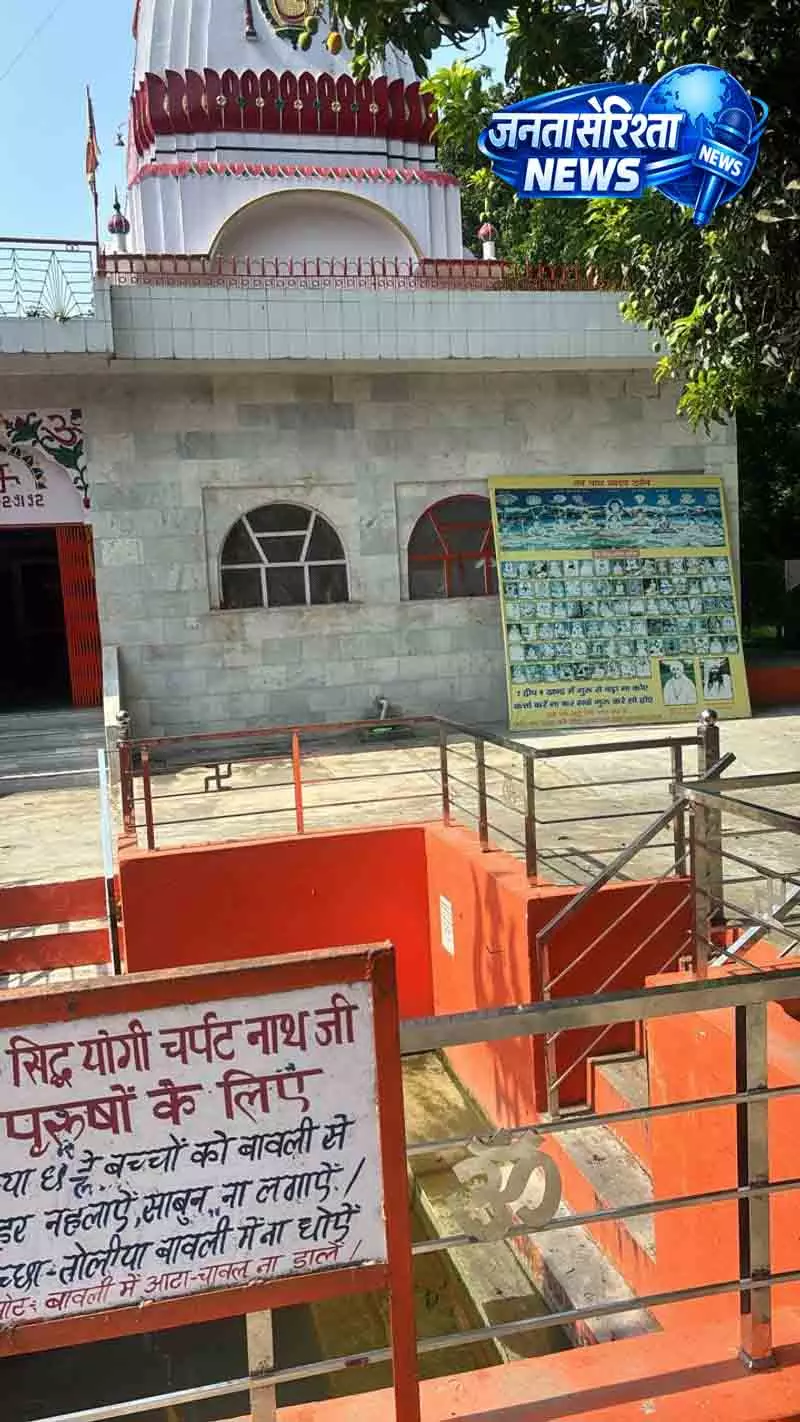 Punjab का अनोखा जंगल, दूर-दूर से आते पर्यटक Punjab का अनोखा जंगल, दूर-दूर से आते पर्यटक