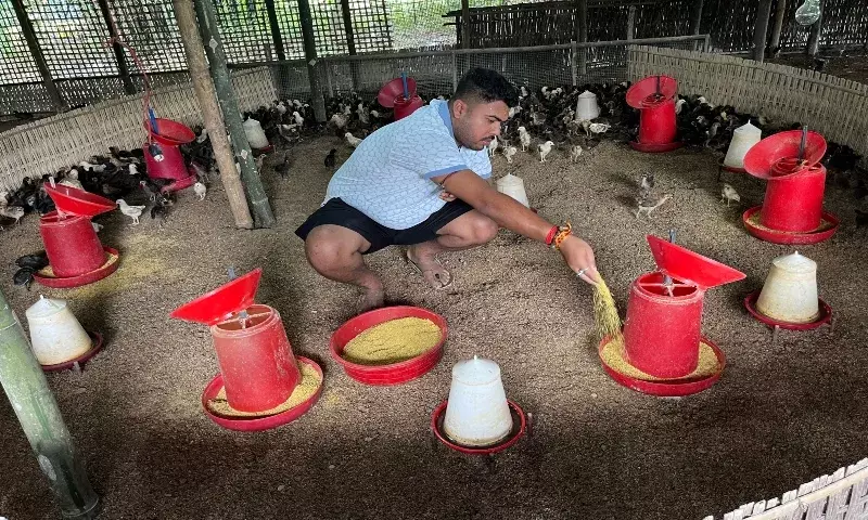 Assam: हिमंत सरमा से प्रेरित होकर युवाओं ने थामी अंडा उत्पादन की राह Assam: हिमंत सरमा से प्रेरित होकर युवाओं ने थामी अंडा उत्पादन की राह